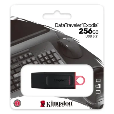 Pen Drive Kingston DTX G1 256GB USB A 3.2