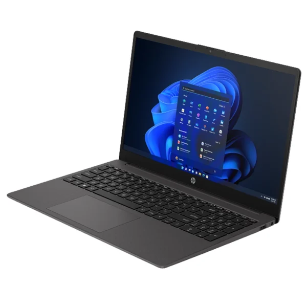 Computador Portátil HP 250 G10 15.6" FHD N100 8GB/256GB SSD W11H Preto AD1J7ET
